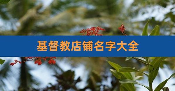 基督徒开公司起名字_基督徒开公司起名字大全