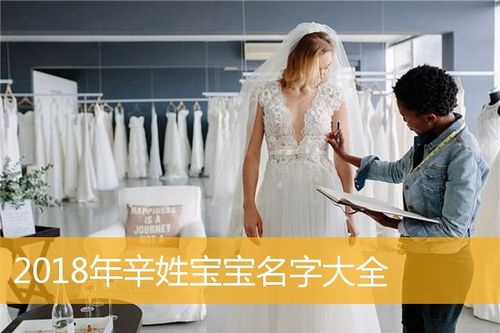 辛姓猪宝宝取名_辛姓猪宝宝取名大全