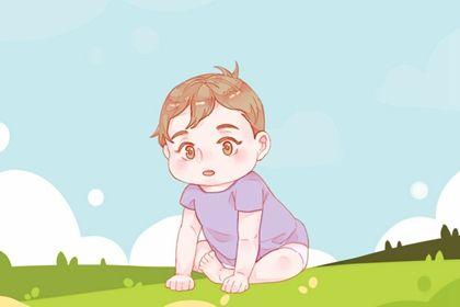 猪宝宝取名男孩 奕字 好吗_猪宝宝取名男孩 奕字 好吗怎么取