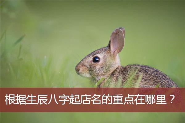 八字和店名测算_八字和店名测算吉凶