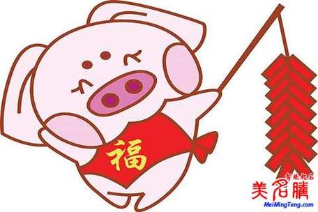 猪宝宝取名男宝宝姓徐_猪宝宝取名男宝宝姓徐怎么取