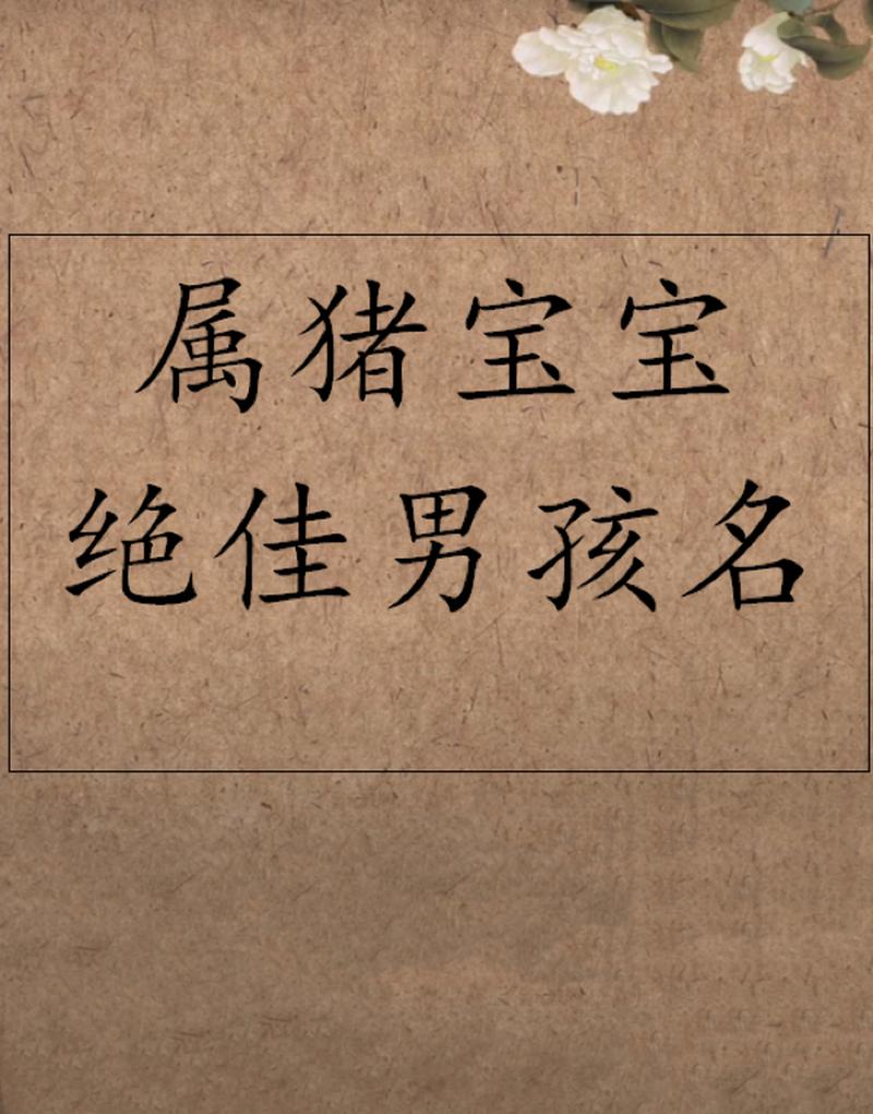 属猪的名字男宝宝取名_属猪的名字男宝宝取名大全