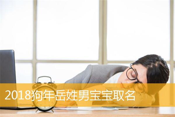 男宝宝取名带岳_男宝宝取名带岳字的名字