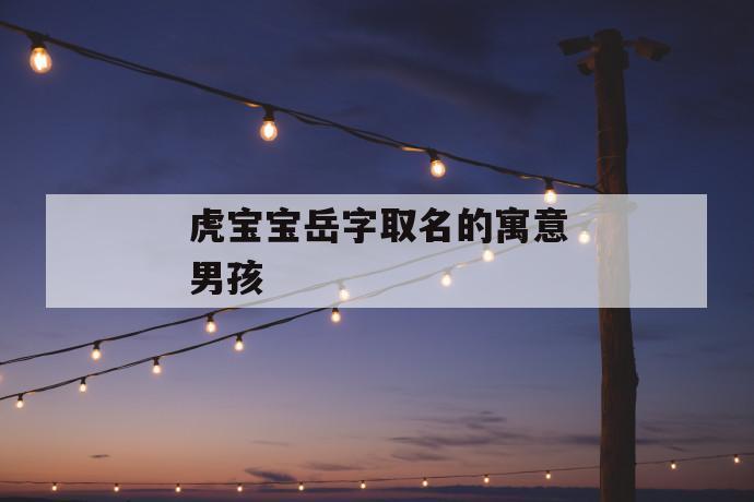 男宝宝取名带岳_男宝宝取名带岳字的名字