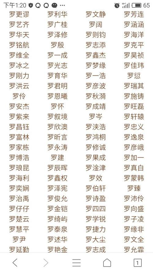 猪宝宝取名大全姓罗_猪宝宝取名大全姓罗的名字