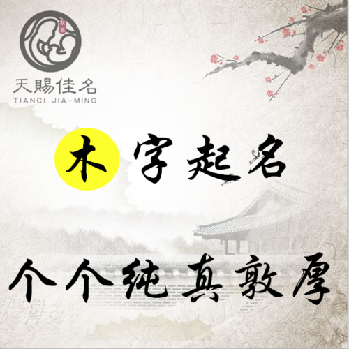 木命人公司起名字带什么好_木命人公司起名字带什么好听