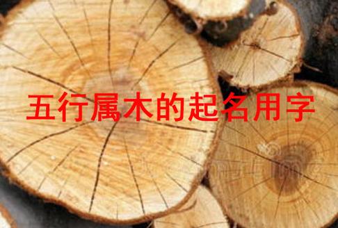 木命人公司起名字带什么好_木命人公司起名字带什么好听