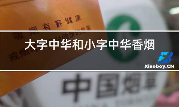 公司起名字小字算吗_公司起名字小字算吗还是大字