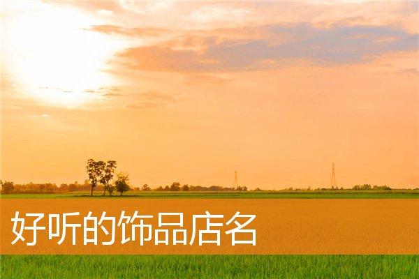 要卖衣服跟饰品的店名_要卖衣服跟饰品的店名怎么取