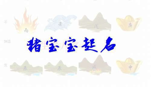 猪宝宝取名比较好的字_
