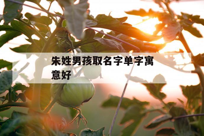 给姓朱的宝宝取名字_给姓朱的宝宝取名字男孩