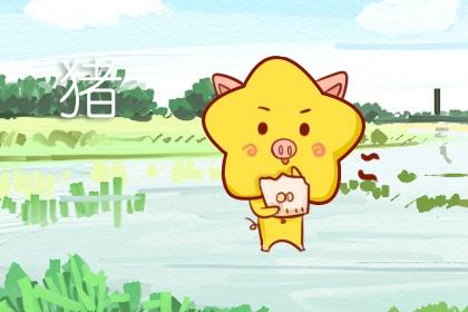 阳历七月出生的猪宝宝取名_