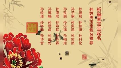 2019猪年孙姓男宝宝取名_2019猪年孙姓男宝宝取名大全