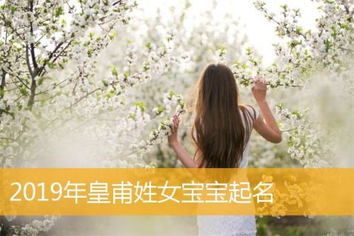 2019年生的女宝宝取名_2019年生的女宝宝取名字