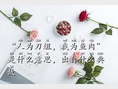 人为刀俎 我为鱼肉_人为刀俎我为鱼是什么意思
