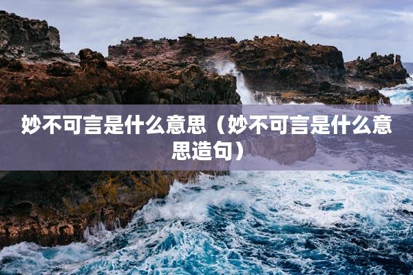 妙不可言是什么意思_妙不可言是什么意思解释一下