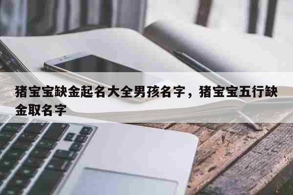 猪宝宝取名带锦的_
