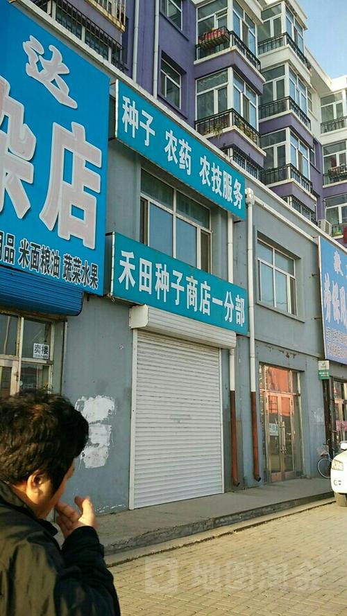 好听的种子店名_好听的种子店名称