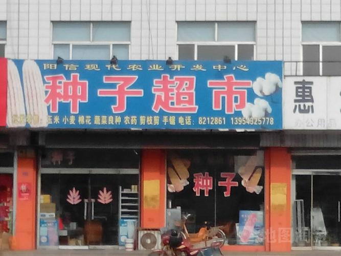 好听的种子店名_好听的种子店名称