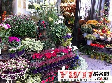 有创意的花卉店名大全_诗意花卉店名字