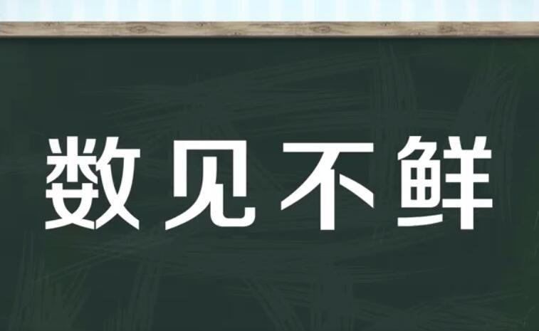 数见不鲜的意思_数见不鲜的意思是什么