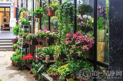 好听的鲜花店名字_好听的鲜花店名字大全集