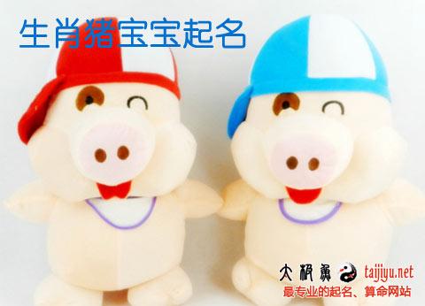 农历2月生的猪宝宝取名_农历2月生的猪宝宝取名字