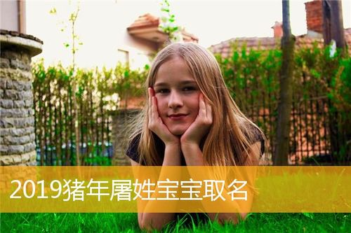 猪年宝宝取名起名大全_
