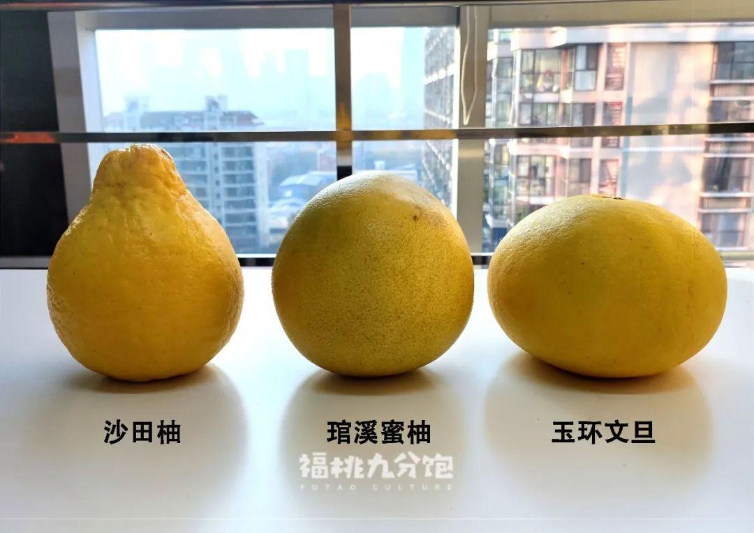 关于柚子的店名_很小众却很惊艳的店名