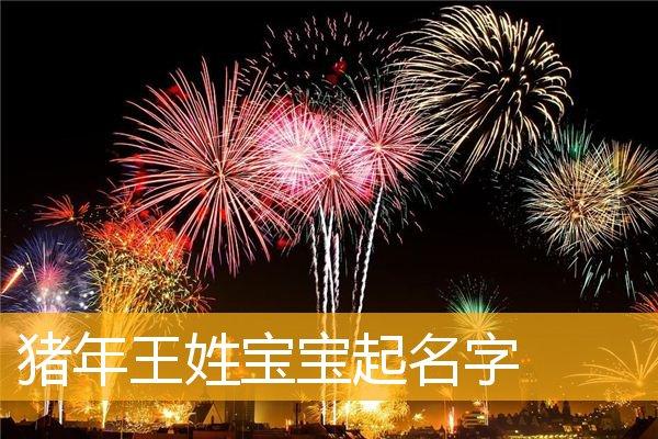2019猪年王姓宝宝取名_2019猪年王姓宝宝取名大全