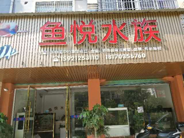 霸气鱼缸店名_霸气鱼缸店名大全