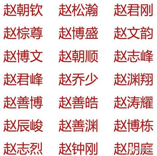 猪年姓赵宝宝取名_猪年姓赵宝宝取名大全