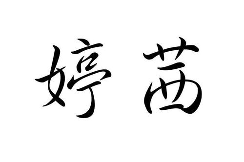 带有婷子的店名_