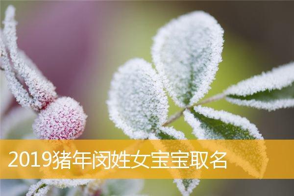农历8月猪年宝宝取名_