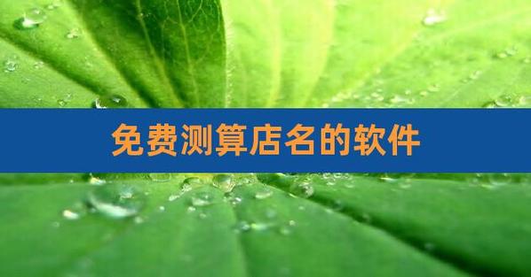 在线测式店名_在线测店名字