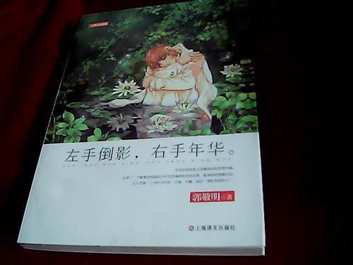 左手倒影_左手倒影右手年华