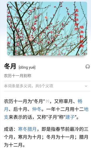冬是指农历几月_冬月是指农历几月
