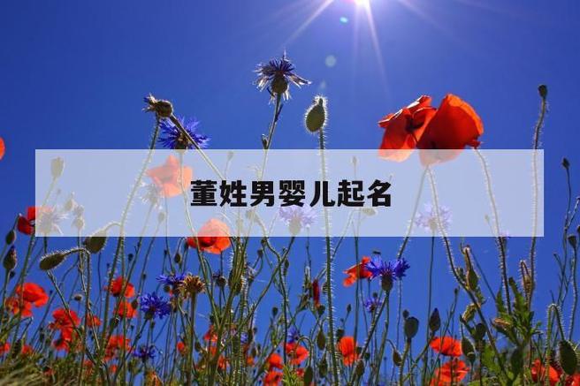 2020年董姓男宝宝取名_2020年董姓男宝宝取名大全