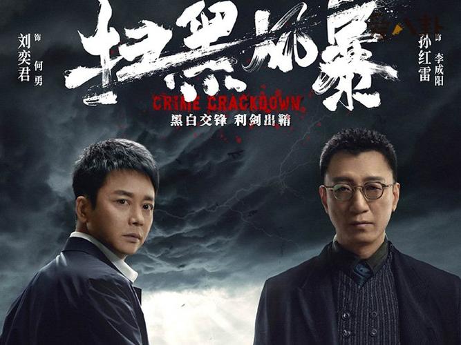 扫黑风暴共多少集_扫黑风暴共多少集第40集