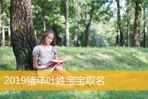 2019猪年11月出生男宝宝取名_2019猪年11月出生男宝宝取名字