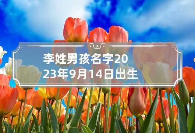 2016年姓李的猴宝宝取名字_2016年姓李的猴宝宝取名字大全