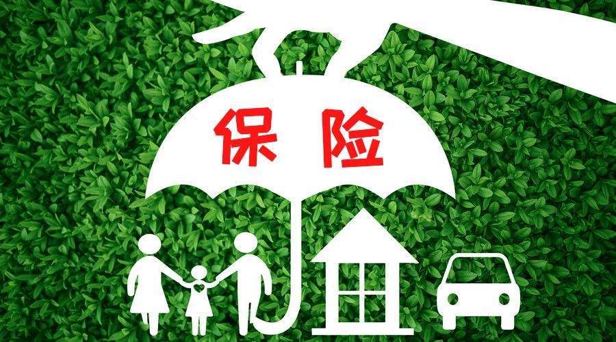 帮起店名买粮油和保险_