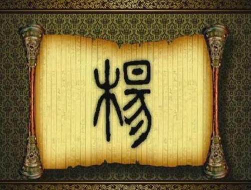 给女宝宝取名字姓杨胜字辈_