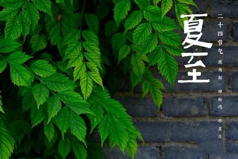 夏至出生的宝宝取名字_夏至出生的宝宝取名字大全