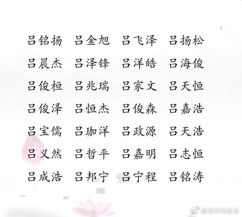 吕姓八字喜金的男宝宝取名_