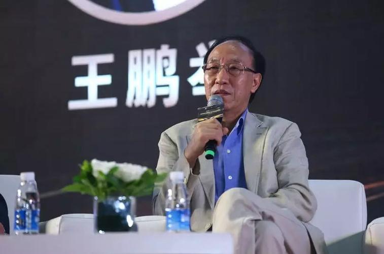 王鹏举_王鹏举简历