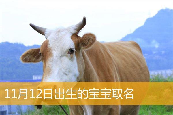 十一月出生的马宝宝取名_