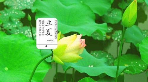 立夏节气的含义是什么_夏至节气的含义是什么