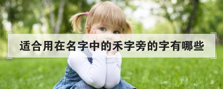 羊宝宝取名带禾字旁_羊宝宝取名带禾字旁的名字