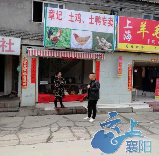 卖活鸡的店铺起名大全（取个卖活鸡店名字）
